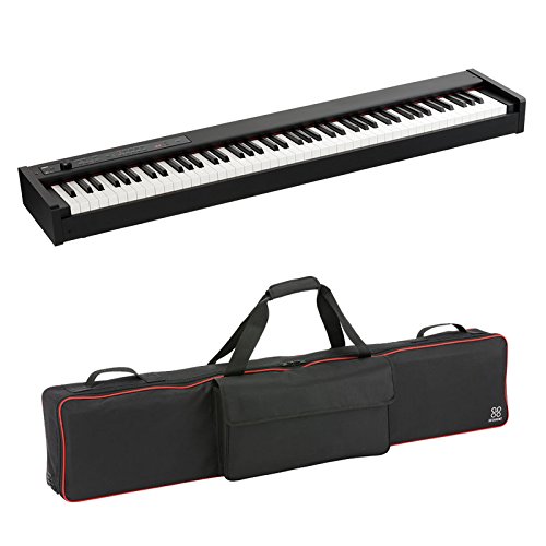 KORG dqsAm D1 + p\tgP[X(SC-D1)Zbg