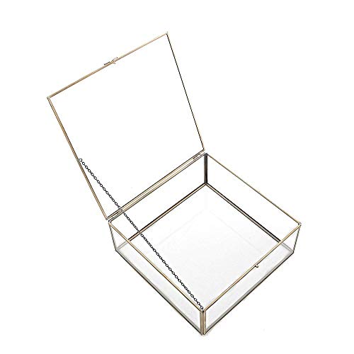 Terrariums Square Clear Glass Plant Terrarium Display For Succulent Air Plants Wedding Coffee Table Terrariums Gardens Under Glass (Color : Gold, Size : 20X20X8.5Cm) #TOP3