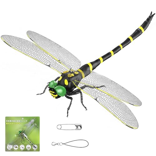 2025NV^us̍ő Ijg{16Z`vƂ A ΍ Hg{ ϋvPVCf SstXgbvt ނ  x_ Ԍ  oR kނ Lv AEghAɑΉ (16cm-1C)