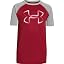 Ruby/Gray Heather