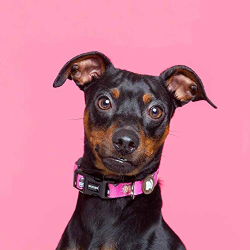 DUKIER - Dog Collar, Adjustable and Adjustable Dog Collar, Neoprene Pet Accessory, Sturdy, Dogtella Design, Size M - Image 4