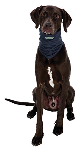 insect shield dog loop