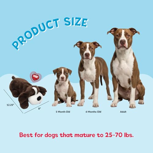 Image of Snuggle Puppy Heartbeat Toy, Calming Comfort, Breed Buddies Bully Breed | Crate training comfort, heat pack, new puppy essentials, first nights sleep, Pit Bull, Bulldog