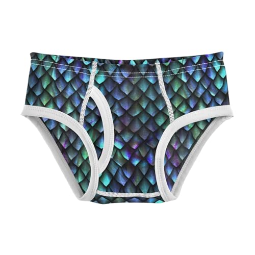 Boys' Exclusive Briefs Toddler Underwear 95% Combed Cotton Boxerbriefs 2T Scaly Texture Pattern 91