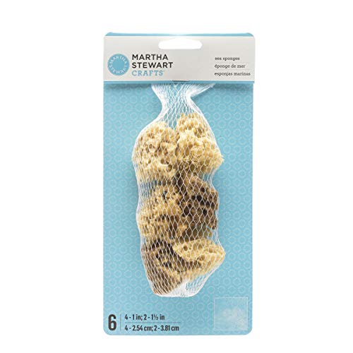 Martha Stewart Crafts Sea Sponge, 32228 (Set of 6)
