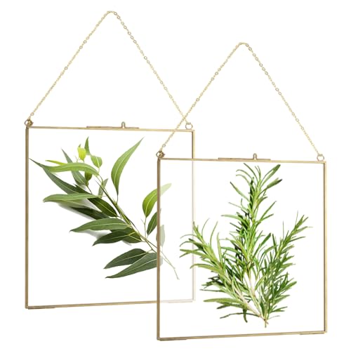 GBACHOOSE 2 Pcs Glass Gold Frames with Chain, 25 x 20cm Double Glass Frame for Pressed Flowers, Hanging Picture Frames Made of Copper Brass, Floating Picture Frame for Photo, Plants Specimen