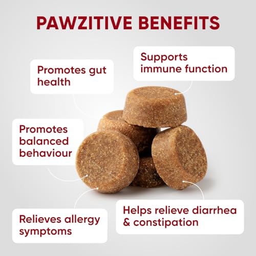 Image of Probiotics for Dogs Digestive Health - Probiotic Chews for Gut Health, Itchy Skin Yeast, Diarrhea - USA Product - Immune Support Supplement - Dog Digestive Support & Allergy Relief Chews with Enzymes