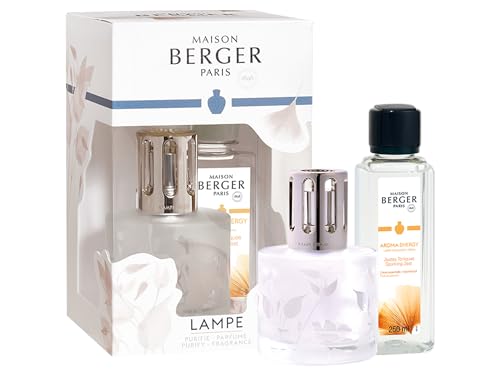 Lampe Berger Aroma Energy - Lampada profumata in Vetro Satinato/Argento, 210 ml