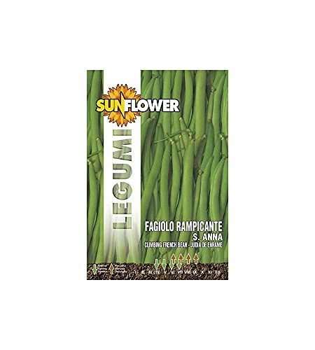 SEMENTI FAGIOLINO RAMPICANTE SAANT'ANNA SUNFLOWER (Cf 10)