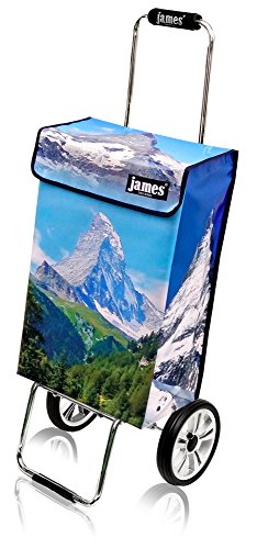 James® Einkaufstrolley modern Design Botticelli, Einkaufswagen bunt, Hackenporsche, Shopping-Lifestyle, Planenmaterial, bis 50kg Tragkraft, Grosse Räder, Made in Vienna – Bild 3