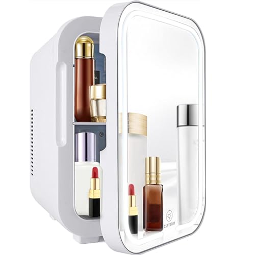Mini réfrigérateur 8 litres pour soins de la peau : cosmétiques frais
