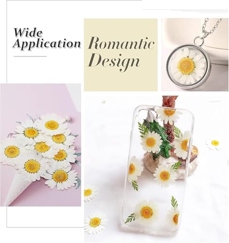 Flores Secas Prensadas Blancas para Manualidades 60 Piezas miniatura 5