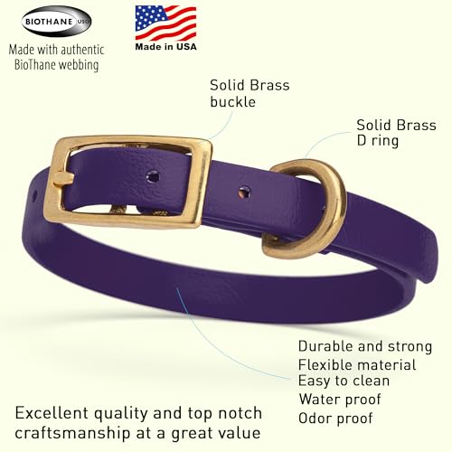 Image of Viper Biothane Heavy Duty Waterproof Dog Collar Strong Coated Nylon Webbing w /Solid Brass Hardware Odor-Proof Easy to Clean High Performance Fits Small Medium or Large Dogs, Violet Purple