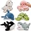 6 Sea Animals