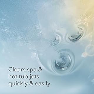 Leisure Time 45450A Jet Clean Spa Cleaner for Spas and Hot Tubs, 1-Pint