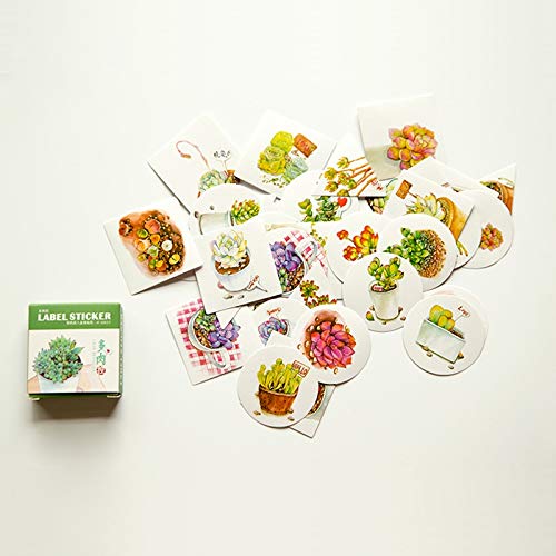 JTJ - Adhesivo decorativo con diseño de plantas suculentas