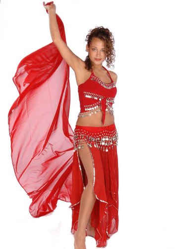 Belly Dance Skirt-Veil,Tank-Top & Hip Scarf Costume Set | Tremendous (Small, Red/Gold)