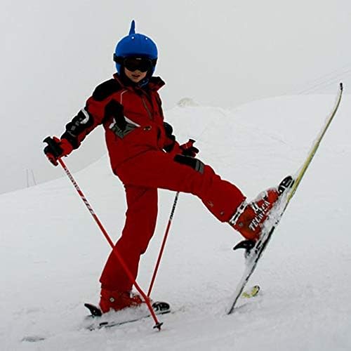 Whale Ski Snowboard Winter Sport Helmet Cover