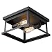 Emliviar Flush Mount Light Fixture, 2-Light 11-inch Ceiling Light in Black Finish, 1803EW1-F1 BK