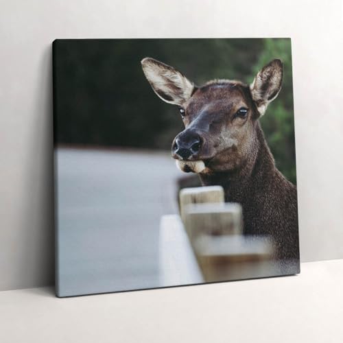 Tête de cerf image sur toile de 60x60cm pour chambre parentale