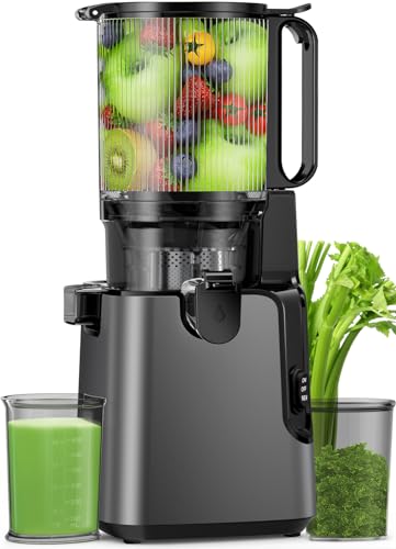 Juicer Machines with 5.8' Large Feed Chute, Cold Press Juicer for Whole Vegetables and Fruits 400W, Slow Masticating juicer Easy to Clean Juice Extractor Machine High Juice Yield