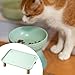 ＫＬＫＣＭＳ Raised Cat Bowl Stand Pet Food Table Comfort Elevated Holder Pet Feeding Dish Stand Cat Dog Bowl Tray, Green
