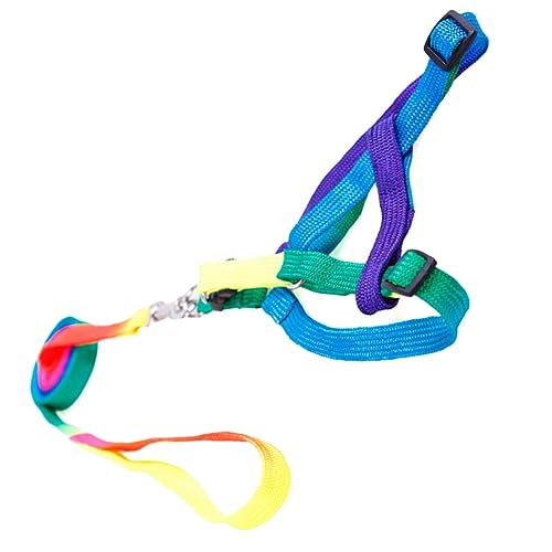 Garneck Adjustable Nylon Chest Leash for Dogs Puppies Rainbow Design Harness On/Off Traction Rope Comfortable Walk Random