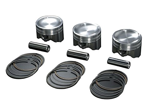 タイ産　ゲンゴロウセット　13-16mm タイ産 ゲンゴロウセット 13-16mm