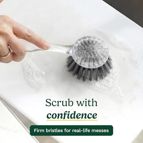 Image of Cuisinart Dish Brush with Handle 2 Pack - Kitchen Scrub Brush for Dishes, Pots & Pans, Non-Scratch Dish Scrubber, Firm Bristles for Sink & Cookware, Comfortable Grip for Everyday Cleaning