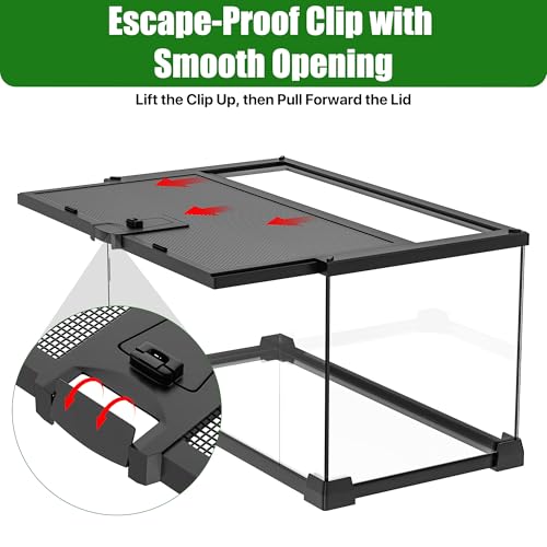Image of Mini Glass Reptile Enclosure Terrarium 8 inchx8 inchx6 inch | Top-Opening Mesh Lid with Feeding Hole, Fully Assembled Tank for Tarantulas, Isopods,Froglets & Tiny Reptiles