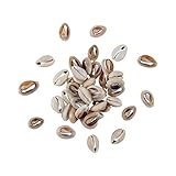 PandaHall Elite About 50 Pcs Tiny Cowrie Sea Shells Oval Ocean Beach Spiral Seashells Craft Charms Length 18-20mm Candle Making, Home Decoration, Party Wedding Decor, Fish Tank Vase Filler
