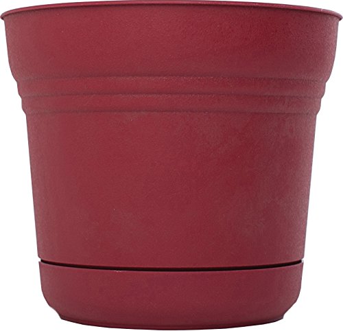 Bloem SP1212 Saturn Planter, 12-Inch, Union Red