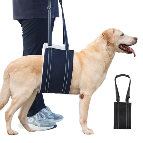 Imbracatura per Ascensori per Cani,Pettorina Sollevamento per Cani,Cintura Ausiliaria Imbracatura Cane,Regolabile Imbracatura Supporto e Riabilitazione,Imbracatura Cane Zampe Posteriori con Maniglia