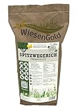 WiesenGold