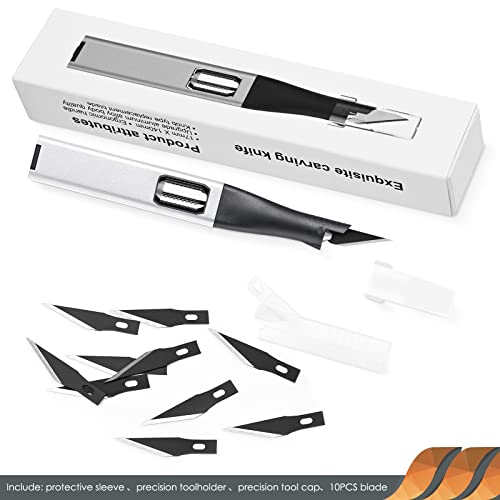 EHDIS Taglierino di Precisione con 10 Lame di Olio...