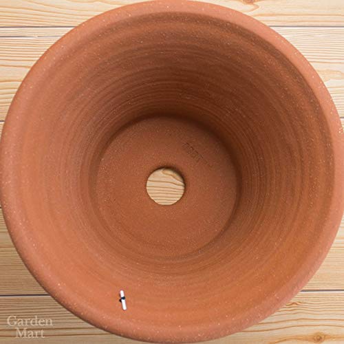 Amazon | ウィッチフォード テラコッタ植木鉢 Happy Birthday