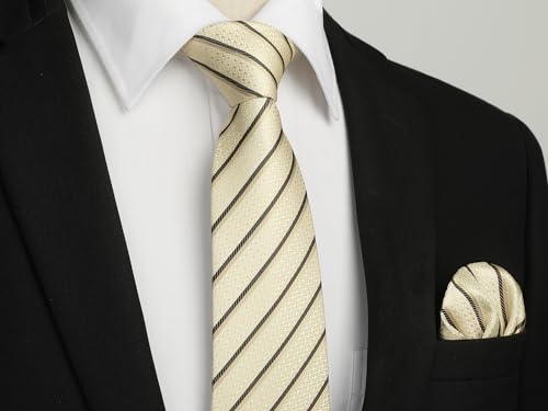 Image of HISDERN Mens Striped Ties Classic Silk Woven Tie and Pocket Square Set Formal Business Necktie Handkerchief for Wedding