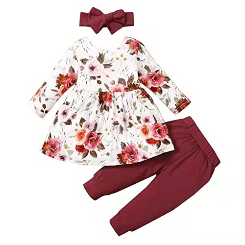 Image of Weimuyuan Newborn Infant Baby Girl Pant Sets Floral Outfits Cute Baby Clothes Girl (Red, 3-6Months)