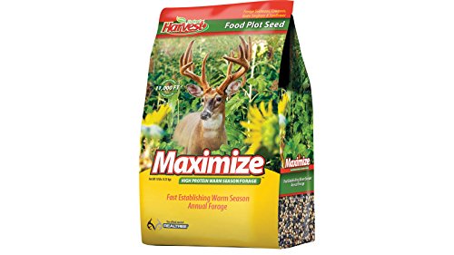 Evolved Maximize Food Plot Seed