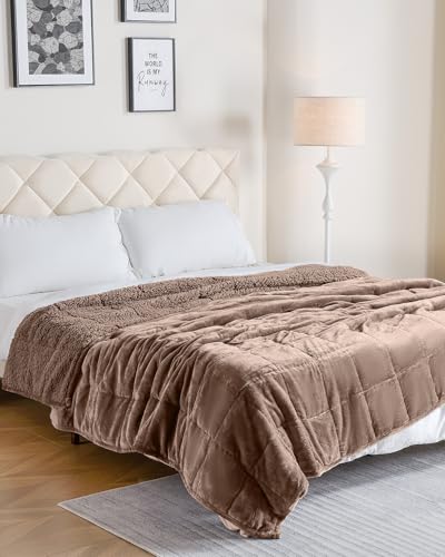 Uttermara Weighted Blanket Twin 15 Pounds, Adult Weighted Blankets with Soft Plush Flannel Fleece & Cozy Warm Sherpa for Couch Bed, Heavy Blanket Great for Sleeping and Relax, 48" x 72" 15lbs in Tan