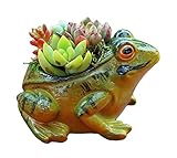 123Arts Resin Frog Shape Succulent Planter Pot Flower Pot Lifelike Frog Planter