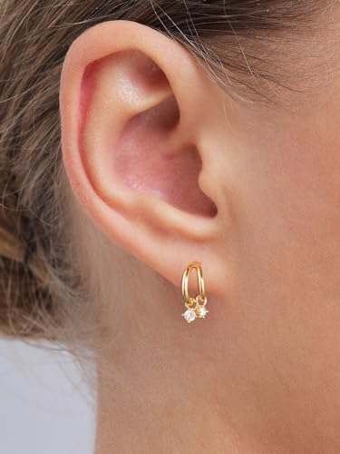 Aretes, Sports Imagen adicional