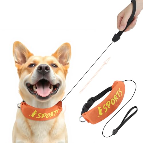 NAMSAN Retractable Large Dog Leash and Collar Set, Dog Collar with 31' Length Leash Built-in for...
