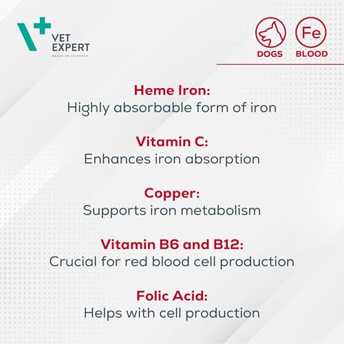 VetExpert HemoVet | 60 Tabletten | Ergänzungsfuttermittel für Hunde | Enthaltene Komponenten sind am Prozess der Hämatopoese beteiligt | Mit Eisen, Kupfer, Folsäure & Vitaminen