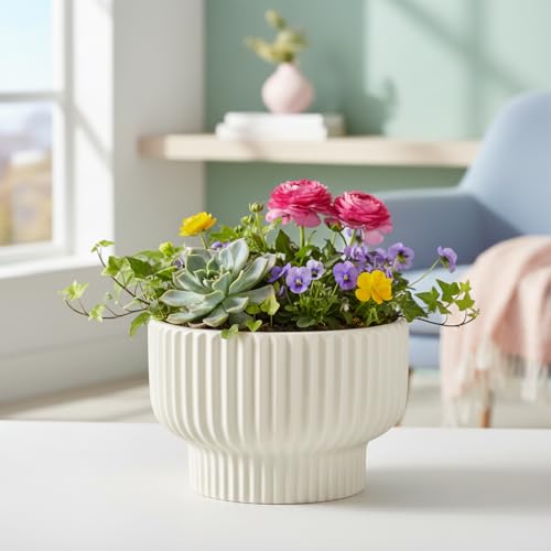 Image of Xtore Graceful Ribbed Ceramic Planter for Indoor Plants & Bonsai Display | Minimal Modern Tabletop Pot for Living Room, Desk & Balcony Styling (Beige, Planter only)
