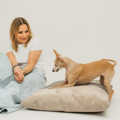 4L Textil Molly Hundekissen Cord Beige Hundebett mittelgroße Hunde mit Bezug und Reißverschluss Hundebett Cord kuscheliges Hundekissen waschbar (80x60 cm, Latte(Stripes))
