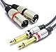 VITALCO 2x XLR Stecker auf 2x 6.3mm TS Klinke Kabel 3m Mikrofonkabel 3 Polig Männlich auf Mono Klinkenstecker Audio Adapter