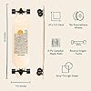 Retrospec Rift Drop-Through Longboard Skateboard Complete Canadian Maple Wood Cruiser w/Drop-Through Trucks for Commuting, Cruising, Carving & Downhill Riding #1
