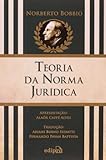 A Teoria da Norma Jur&Atilde;&shy;dica