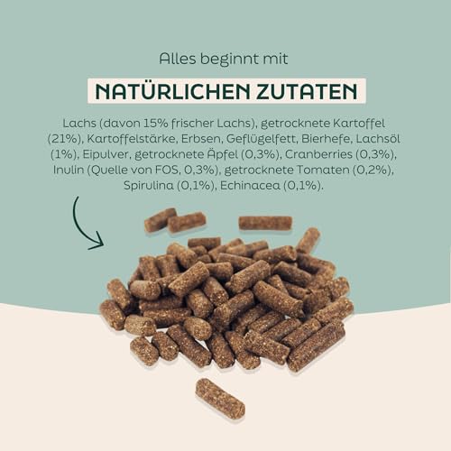WOOOF Lachs & Kartoffel 18kg kaltgepresstes, getreidefreies und hypoallergenes Hundefutter | Trockenfutter, leicht verdaulich, ohne Weizengluten